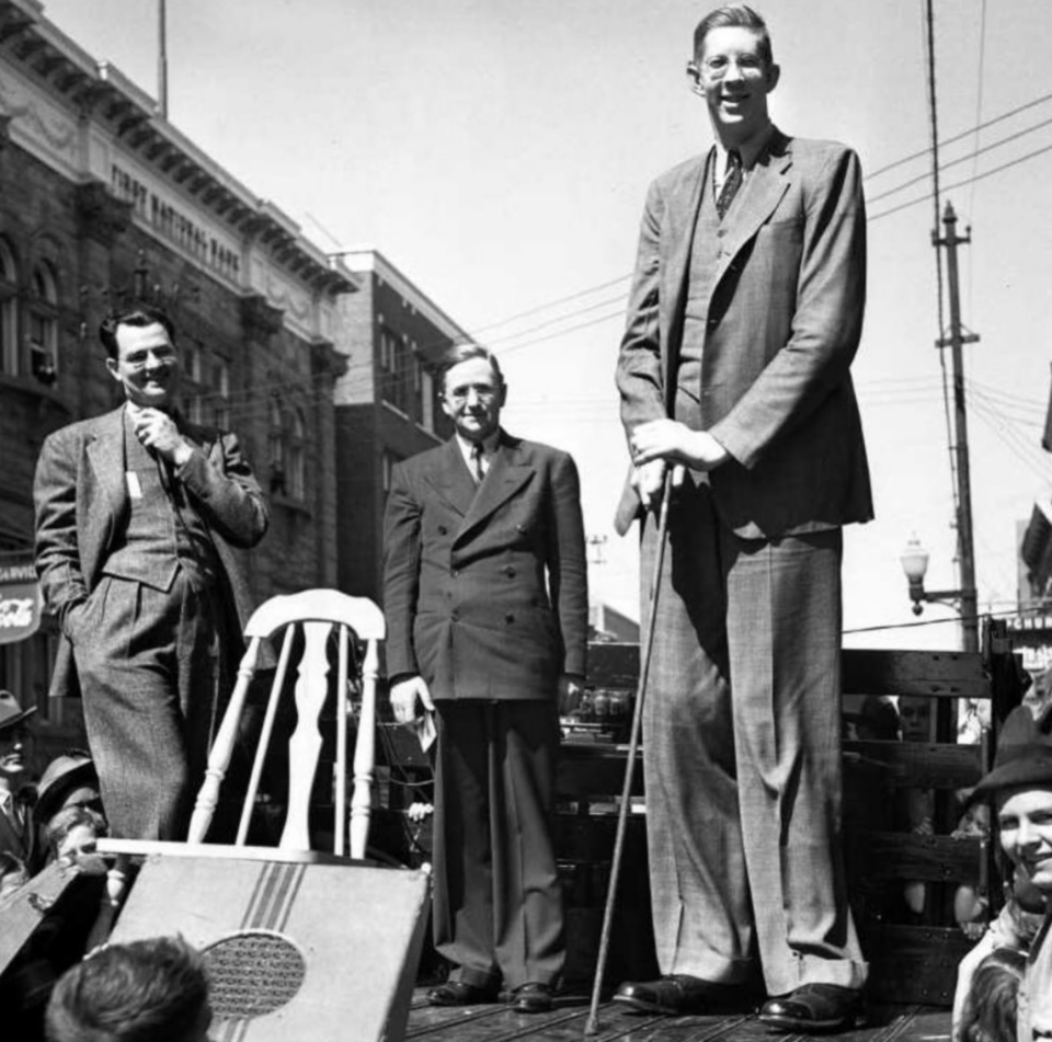 Il Gigante Marziale il-gigante-marziale